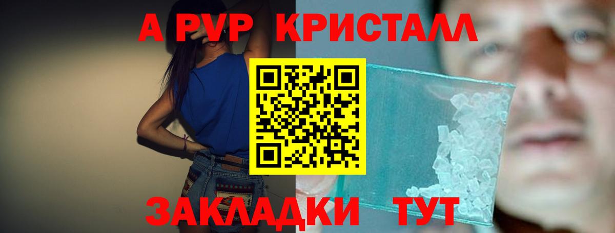Альфа ПВП СК КРИС Сальск