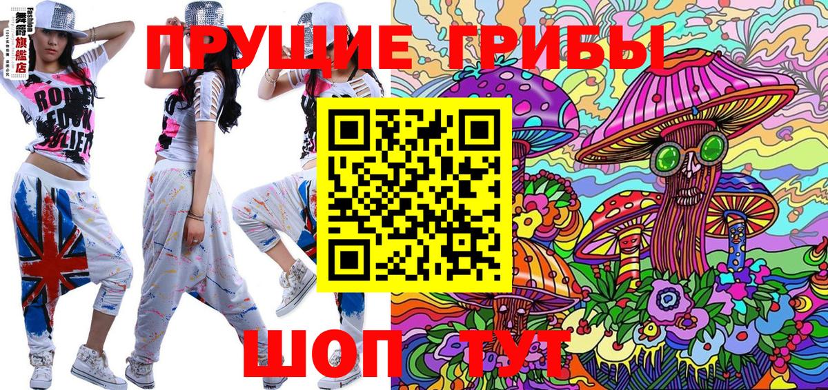 Сальск  Галлюциногенные грибы мицелий  Вход с VPN  Псилоцибиновые грибы GOLDEN TEACHER 