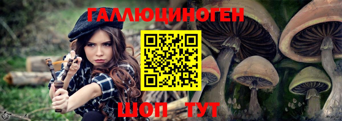 Галлюциногенные грибы Magic Shrooms Сальск