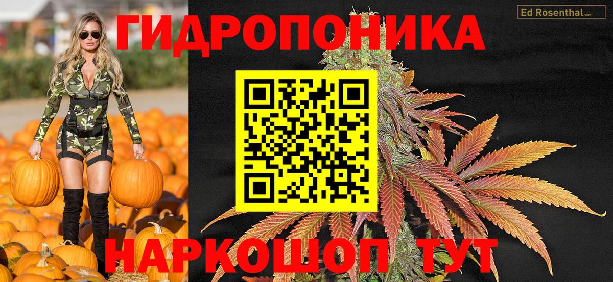 Бошки Шишки White Widow Сальск